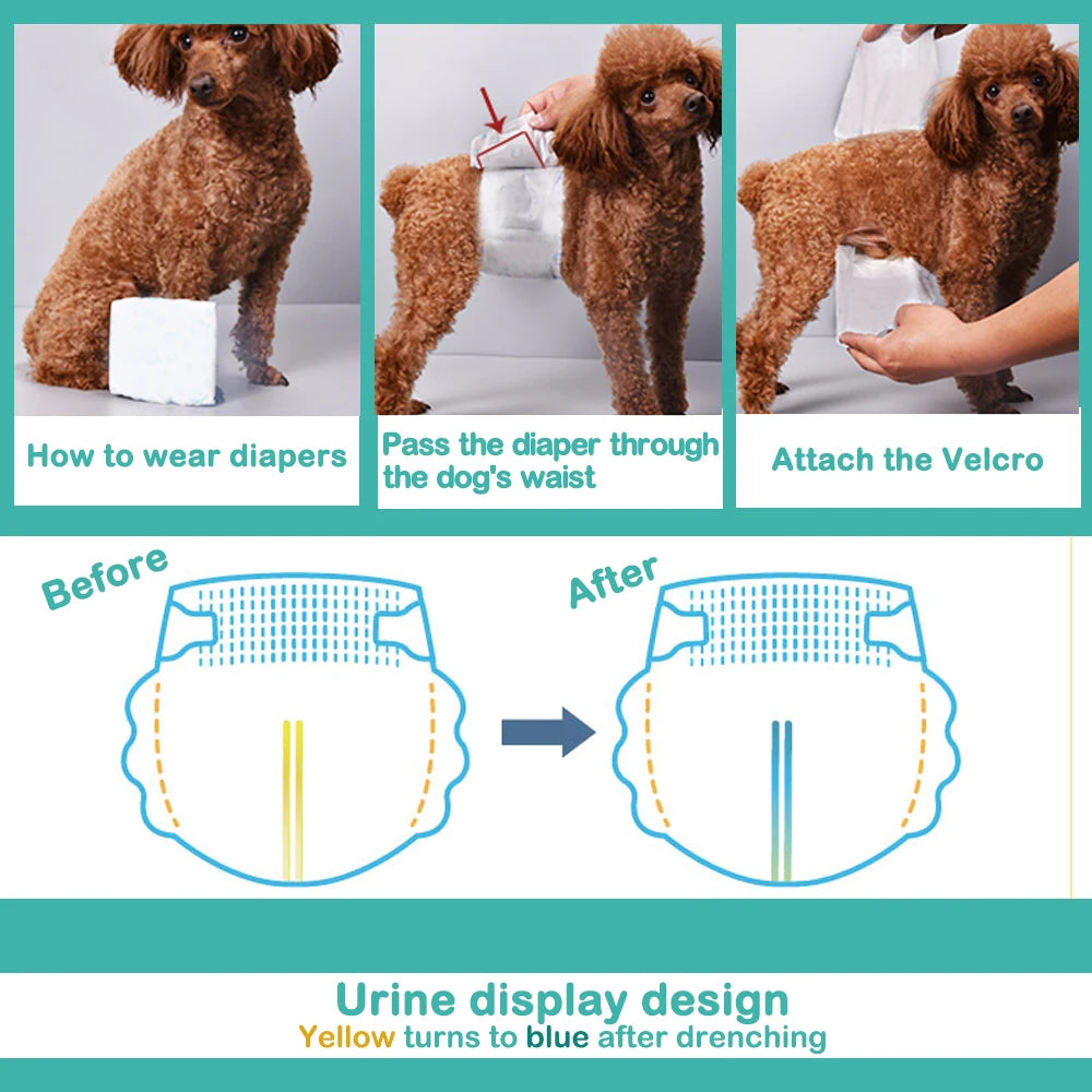 PetProtect - Pañales Absorbentes para Mascotas