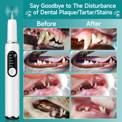 DentalPet - Cuidado Dental para Perros y Gatos
