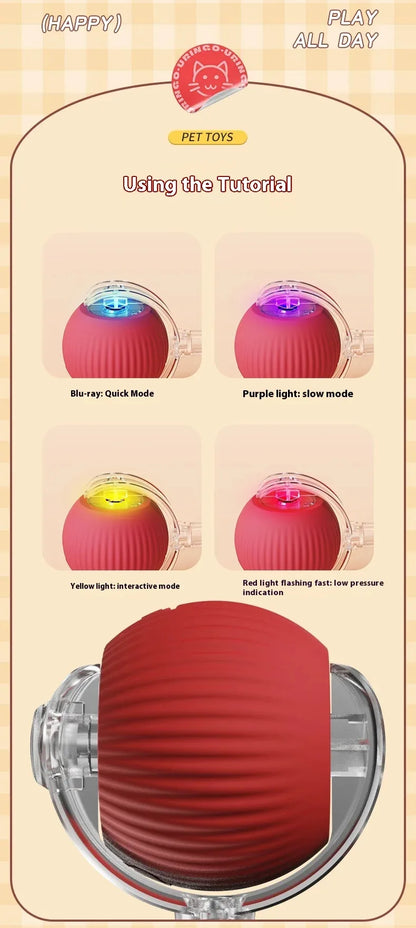 PlayTail - Pelota Eléctrica para Mascotas