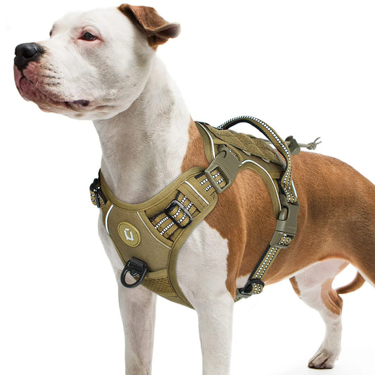 TrailPaw - Arnés Resistente para Perros