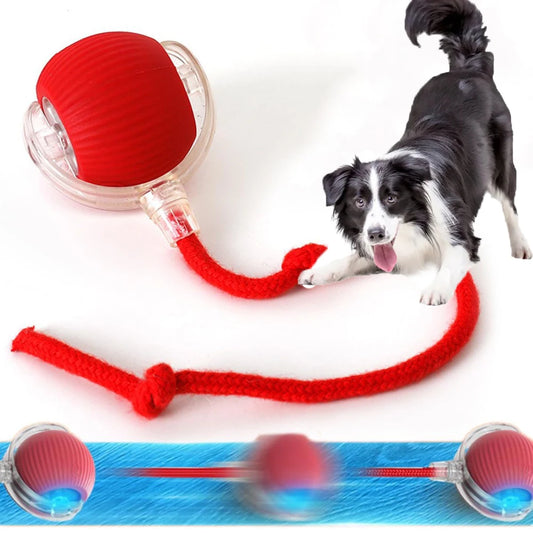 ActivePaw - Pelota Inteligente para Mascotas