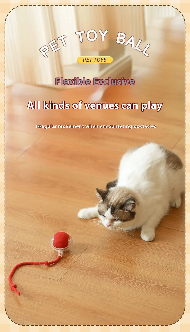 ActivePaw - Pelota Inteligente para Mascotas