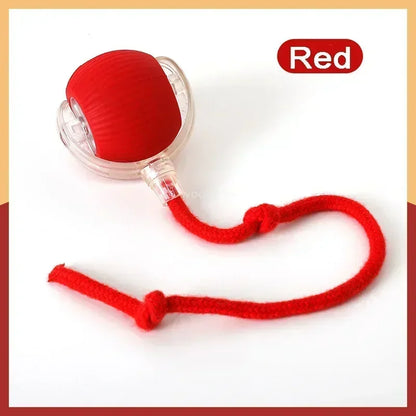 ActivePaw - Pelota Inteligente para Mascotas