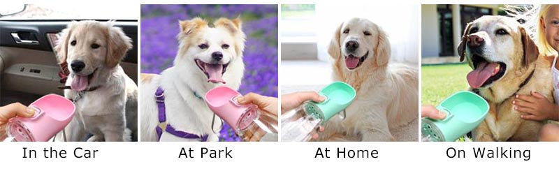 HydraPet - Dispensador Portátil para Perros