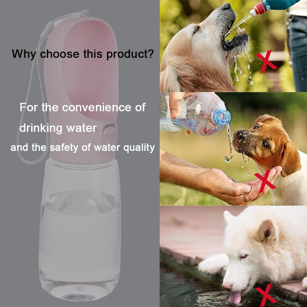 PetDrink - Botella Antifugas para Perros y Gatos