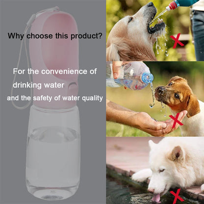 PetDrink - Botella Antifugas para Perros y Gatos