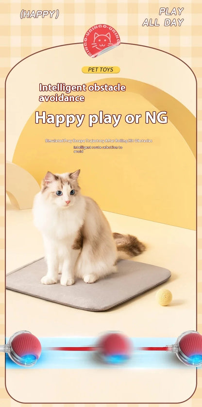 ActivePaw - Pelota Inteligente para Mascotas
