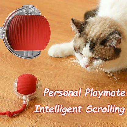 PlayTail - Pelota Eléctrica para Mascotas