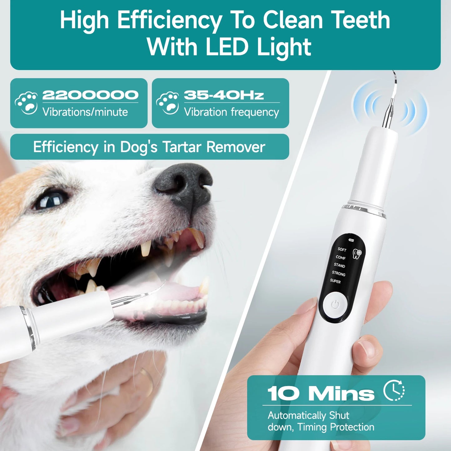 DentalPet - Cuidado Dental para Perros y Gatos
