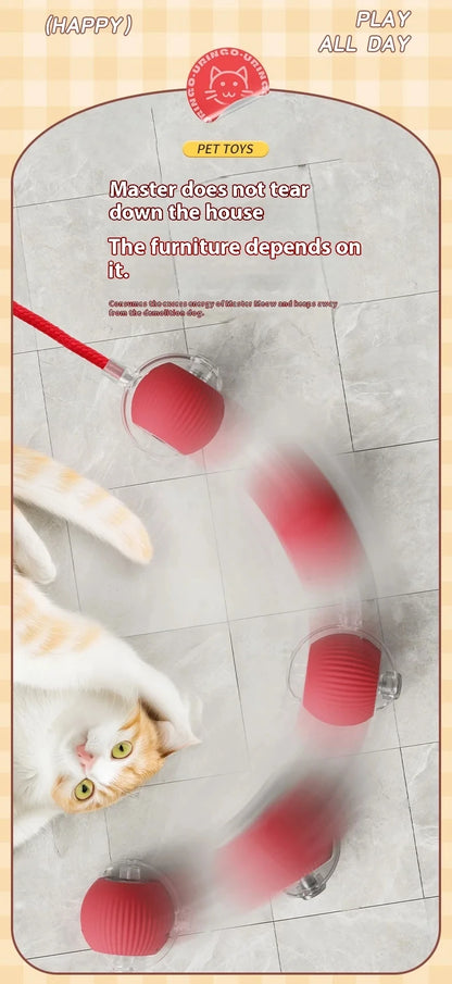ActivePaw - Pelota Inteligente para Mascotas