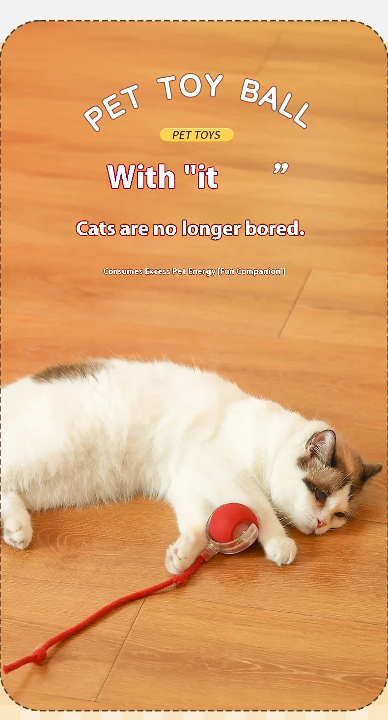ActivePaw - Pelota Inteligente para Mascotas