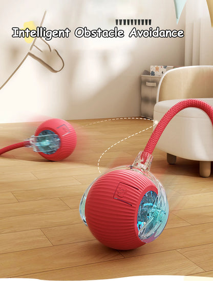 PlayTail - Pelota Eléctrica para Mascotas