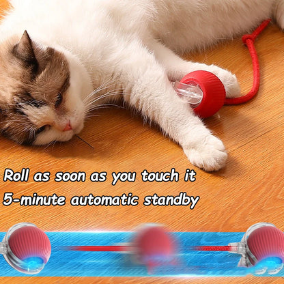 PlayTail - Pelota Eléctrica para Mascotas